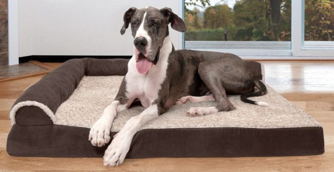 6 Best Dog Beds For Large Breeds – 2022 Reviews & Buying Guide