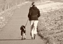 How To Stop Your Dog From Pulling On The Leash – 6 Effective Tips