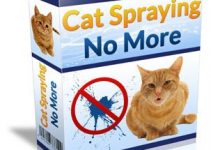 Cat Spraying No More Review (2023) – Does It Stop The Peeing?
