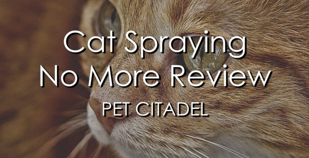 Cat Spraying No More Review - Banner Image
