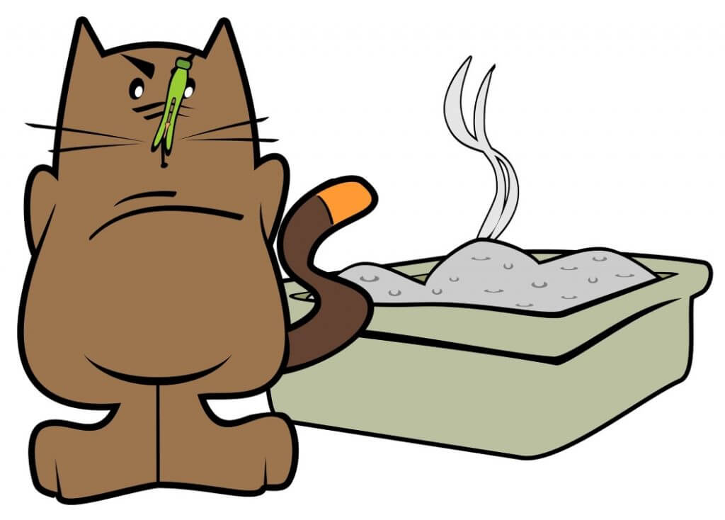 How To Stop A Cat From Peeing On The Bed - Litter Box 1