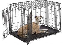Why Your Dog Won’t Stop Barking In Its Crate – Causes & Solutions