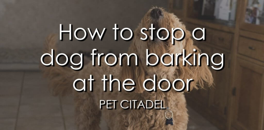 How To Stop A Dog From Barking At The Door - Banner Image