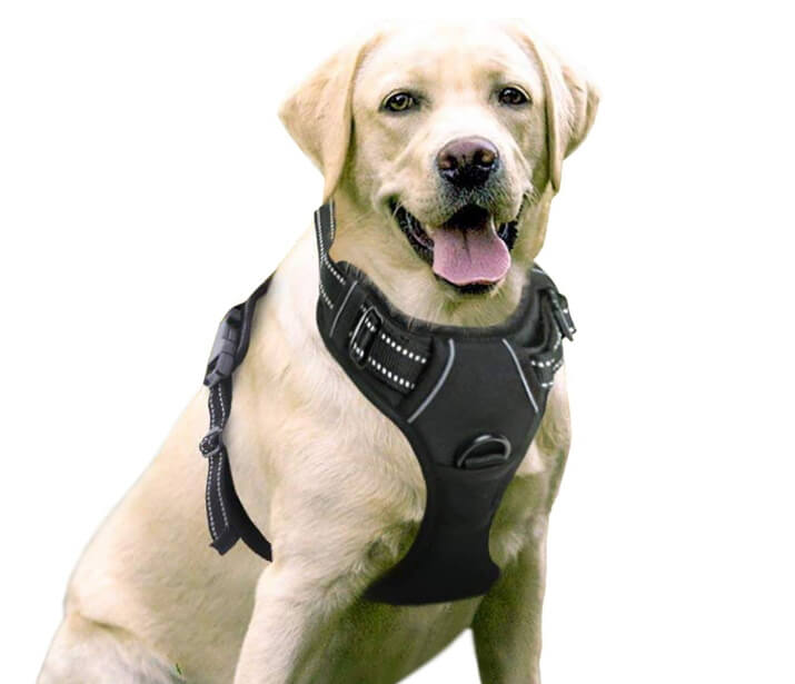 Best Dog Harnesses For Hiking - Rabbitgoo Adjustable