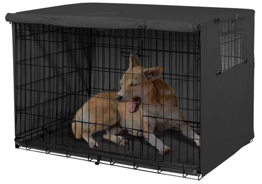 Example of dog in closed dog crate