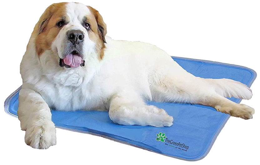 The Green Pet Shop Gel Cooling Mat - white dog laying on top