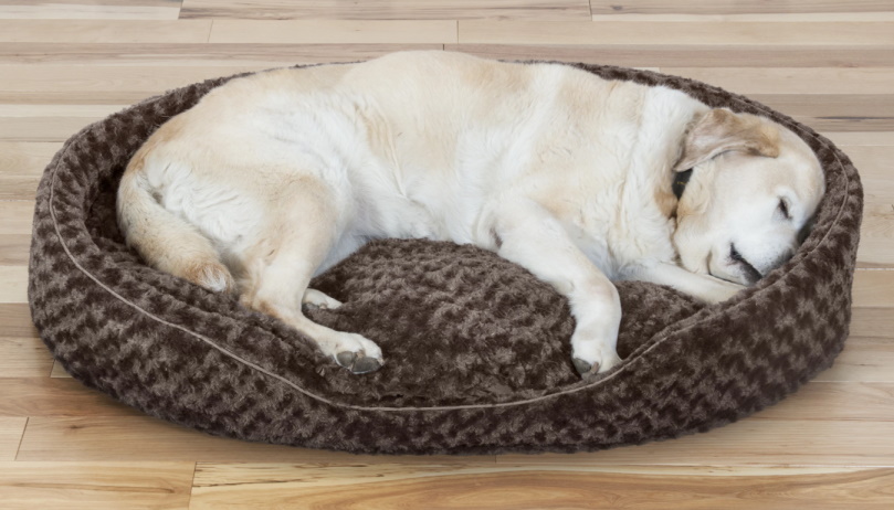 FurHaven NAP Oval Lounger Dog Bed