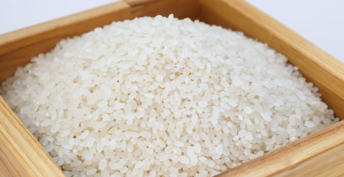 Can Cats Eat Rice? – Explained