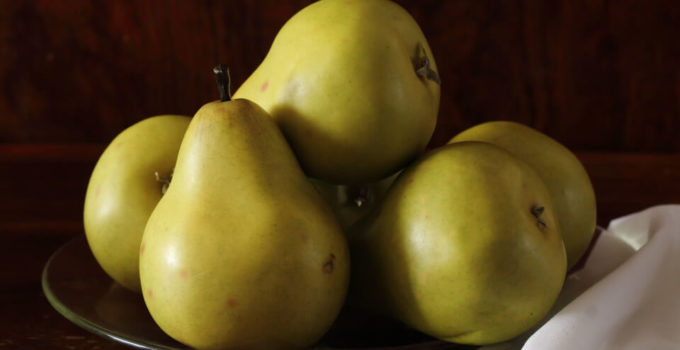 Can Dogs Eat Pears? – Explained