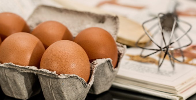 Can Dogs Eat Raw Eggs? – All You Need To Know