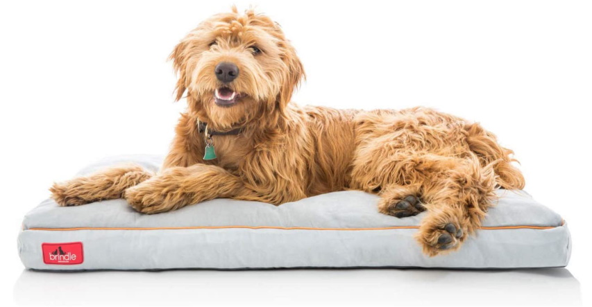 Brindle Shredded Memory Foam Orthopedic Dog Bed
