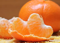 Are Oranges Good For Dogs? – Explained