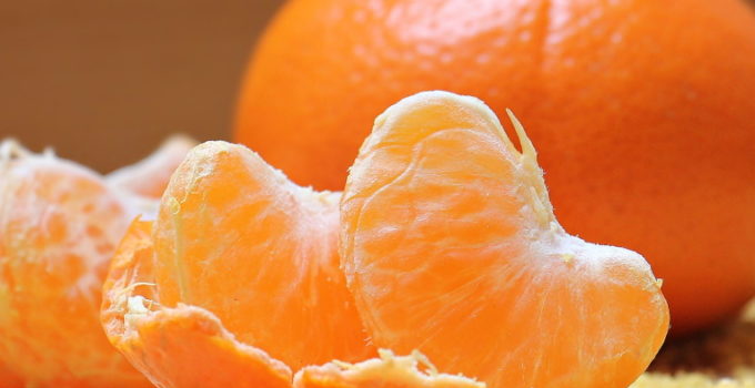 Are Oranges Good For Dogs? – Explained